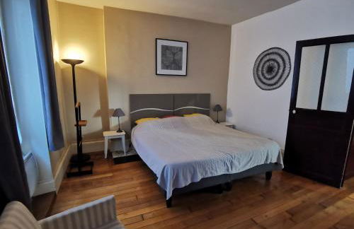 Appart Gîte Les Oiseaux- face Loire Quai du Châtelet - Foto 7