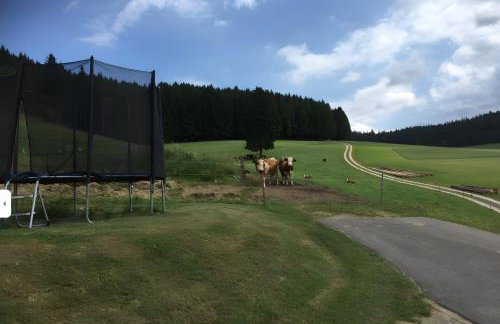 Beierleshof - Foto 9