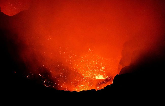 Castle Tree House - Photo 19