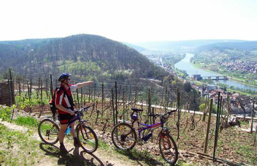 Ferienwohnung Auf Schäfers Spuren - Foto 22