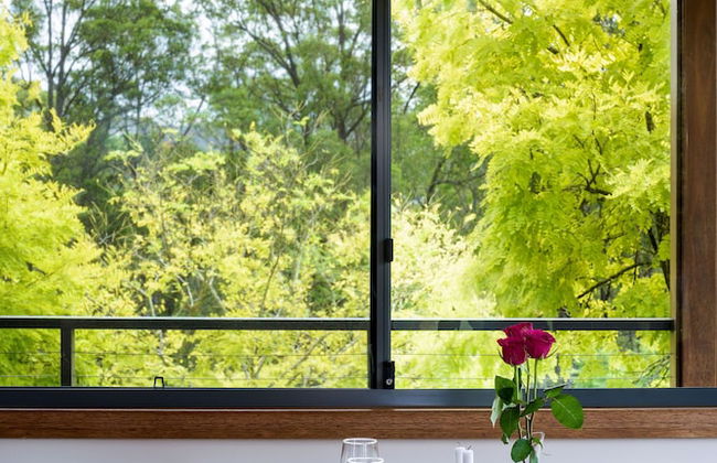 Cedars Mount View - Photo 36