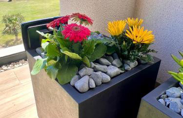 Ático Toyo golf - Foto 8