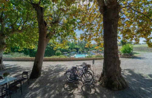 Agriturismo Torreghiotta - Foto 17