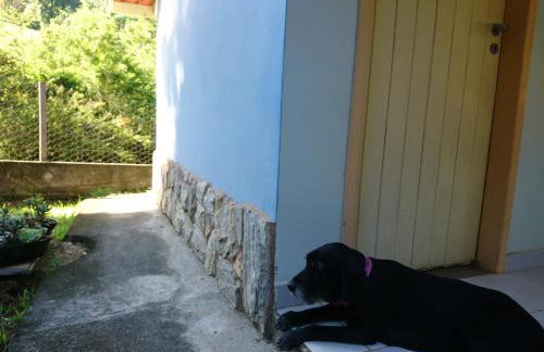 Casa do Artista - Foto 24