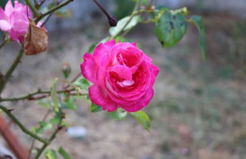 Vivenda Alju - Foto 32