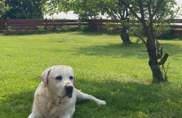 Brunos Haus - Foto 42