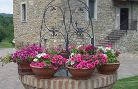 Agriturismo Prato degli Angeli - Foto 6