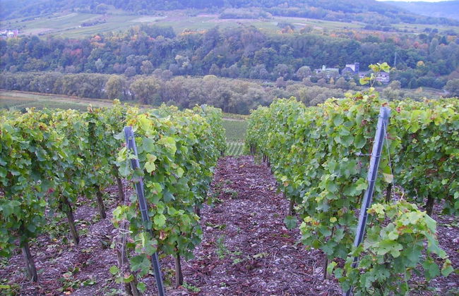 Lovely Modern Apartment, Near the Mosel, Shops and Restaurants - Foto 25