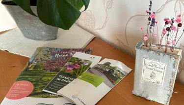 Ferienwohnung Riva - Foto 3