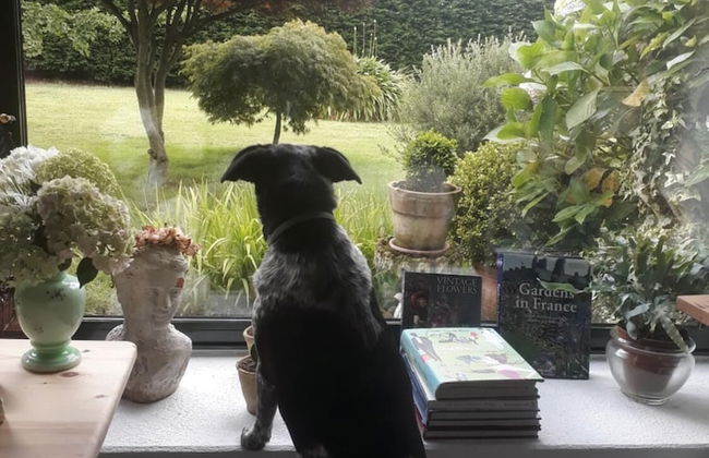 A Cortiña de Canalarrana - Foto 26