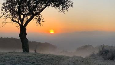 Ferienwohnung Taunusurlaub - Foto 2