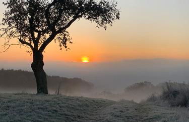 Ferienwohnung Taunusurlaub - Foto 2