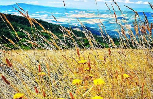 La Casa di Orazio - Foto 54