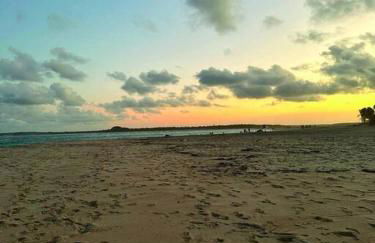 Caju Verde - Barra do Cunhau - Photo 26