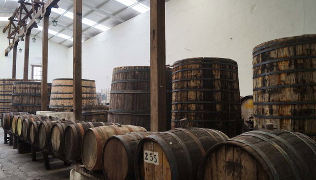Tour privado por un viñedo de Parras de la Fuente - Foto 2, Probaremos el vino de Parras de la Fuente