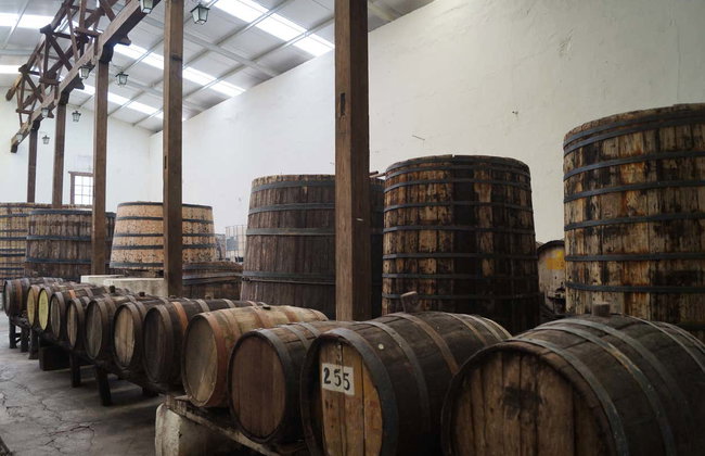 Tour privado por un viñedo de Parras de la Fuente - Foto 2