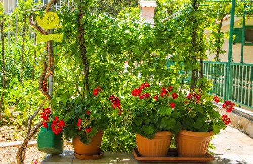 Cozy and nice apartment - Foto 73