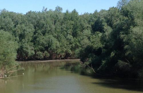 Apartamento Turístico Cigüeña de Alfaro - Foto 34