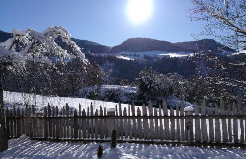 Appartements Riegelehof - Photo 48