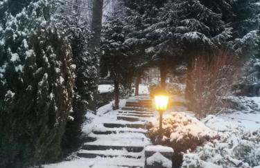 Jaworowy Stok z widokiem na góry i ogrodem - Foto 54