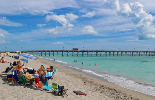 The Queen's Flamingo - Foto 28