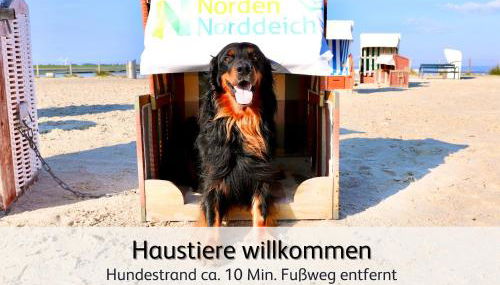 Ideal für Familien & Fellnasen, strandnah - Foto 4