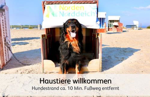 Ideal für Familien & Fellnasen, strandnah - Foto 4