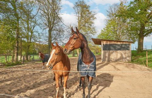 Backhus Nordkampen - Foto 36