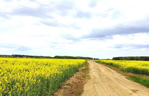 Stara Karczma Sypitki - Foto 30