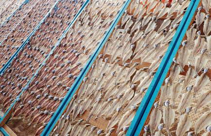 Silver Breezes Apartment - Foto 33