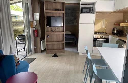 Vinéa Cottages - Hébergements Touristiques, Terrasse et Piscine privative - Foto 13