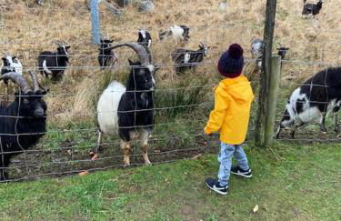 The Old School House, luxury home with hot tub. - Foto 41