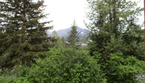 SEWARD APARTMENT - Foto 3