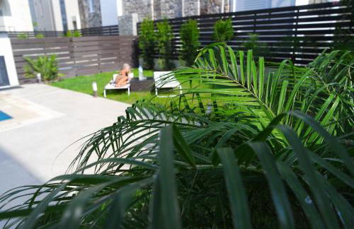 Ixia Breeze 1 - Foto 31