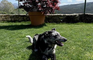 O Balcon Do Oitaven, vuestra finca privada en Galicia - Foto 43