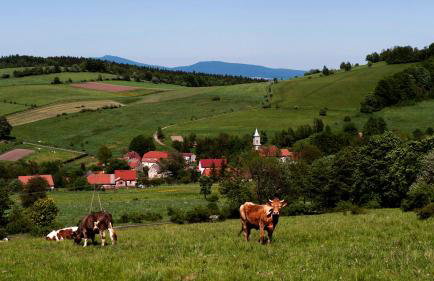 'chata usÓwek' - Foto 12