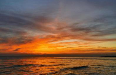 Platan Paradise - Foto 38