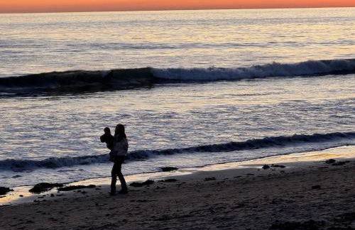 Little Palm Cottage - Foto 38