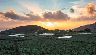 Apartamentos Leomar II - Foto 2