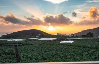 Apartamentos Leomar II - Foto 2