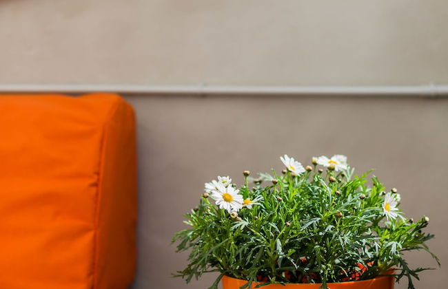 Ca Sa Padrina by LOCALITE - Foto 30