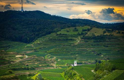 Holiday Apartment Monet in Oberrotweil - Foto 44