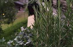 La maison de Carmen - Foto 41