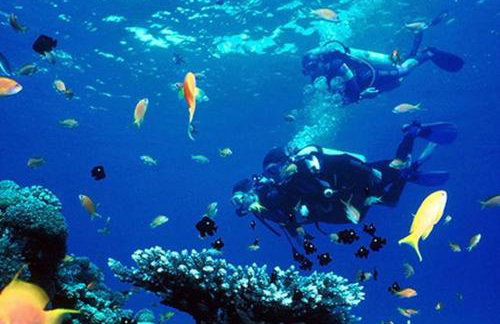 Nike house - Foto 38