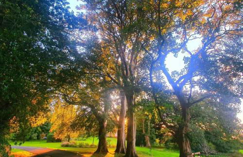 Plas Dinas Country House - Photo 48