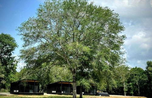 Tranquil Tiny Home Resort with Heated Pool & Goats near Houston, Hempstead Texas - Foto 61