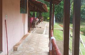 Sítio Vô Nono - Foto 14