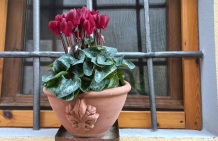 Casina Iris - Reggello - Foto 13