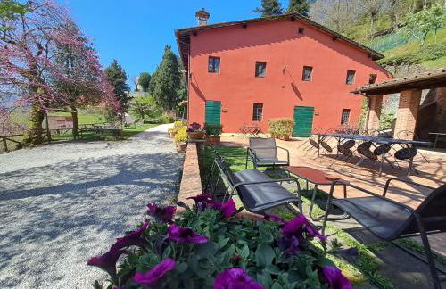 Agriturismo la Torre - Foto 10