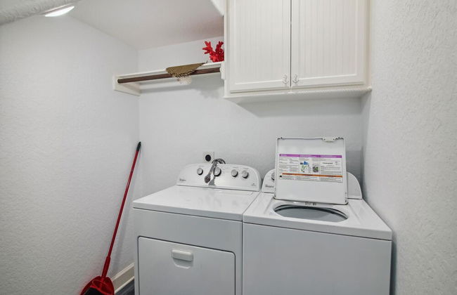 Birds of Paradise - Foto 16